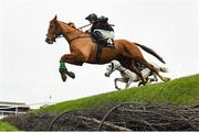 26 November 2023; Blast Of Koeman, with Sean O'Keeffe up, jumps Ruby's Double during the Pigsback.com Risk Of Thunder Steeplechase on day two of the Punchestown Winter Festival at Punchestown Racecourse in Kildare. Photo by Matt Browne/Sportsfile