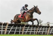 26 November 2023; Shannon Royale, with Jack Kennedy up, jump the last on their way to winning the I.N.H. Stallion Owners EBF Maiden Hurdle on day two of the Punchestown Winter Festival at Punchestown Racecourse in Kildare. Photo by Matt Browne/Sportsfile