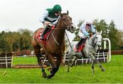 26 November 2023; Bob Cigar, with Jack Kennedy up, on the way to winning the Fox Valet Retirement Handicap Hurdle from second place Western Zara with Richard Deegan after jumping the last on day two of the Punchestown Winter Festival at Punchestown Racecourse in Kildare. Photo by Matt Browne/Sportsfile