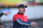 26 November 2023; Dingle selector Tommy Griffin during the AIB Munster GAA Football Senior Club Championship semi-final match between Dingle, Kerry, and Clonmel Commercials, Tipperary, at FBD Semple Stadium in Thurles, Tipperary. Photo by Piaras Ó Mídheach/Sportsfile