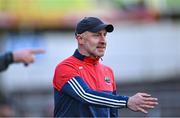 26 November 2023; Dingle selector Tommy Griffin during the AIB Munster GAA Football Senior Club Championship semi-final match between Dingle, Kerry, and Clonmel Commercials, Tipperary, at FBD Semple Stadium in Thurles, Tipperary. Photo by Piaras Ó Mídheach/Sportsfile