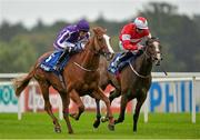 7 September 2013; The United States, left, with Joseph O'Brien up, races Elleval, with Fergal Lynch up, towards the finishline on their way to winning the KPMG Enterprise Stakes. Leopardstown Racecourse, Leopardstown, Co. Dublin. Picture credit: Barry Cregg / SPORTSFILE