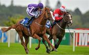 7 September 2013; The United States, left, with Joseph O'Brien up, crosses the finishline ahead of Elleval, who finished second, with Fergal Lynch up, to win the KPMG Enterprise Stakes. Leopardstown Racecourse, Leopardstown, Co. Dublin. Picture credit: Barry Cregg / SPORTSFILE