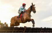 3 December 2023; Zanahiyr, with Jordan Gainford up, during the the Bar One Racing Hatton's Grace Hurdle on day two of the Fairyhouse Winter Festival at Fairyhouse Racecourse in Ratoath, Meath. Photo by Seb Daly/Sportsfile
