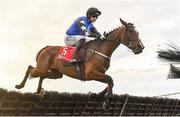3 December 2023; Ashroe Diamond, with Patrick Mullins up, during the the Bar One Racing Hatton's Grace Hurdle on day two of the Fairyhouse Winter Festival at Fairyhouse Racecourse in Ratoath, Meath. Photo by Seb Daly/Sportsfile