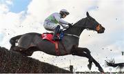 3 December 2023; Sharjah, with Paul Townend up, during the Bar One Racing Drinmore Novice Steeplechase on day two of the Fairyhouse Winter Festival at Fairyhouse Racecourse in Ratoath, Meath. Photo by Seb Daly/Sportsfile