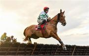 3 December 2023; Zanahiyr, with Jordan Gainford up, during the the Bar One Racing Hatton's Grace Hurdle on day two of the Fairyhouse Winter Festival at Fairyhouse Racecourse in Ratoath, Meath. Photo by Seb Daly/Sportsfile
