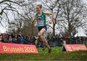 10 December 2023; Fionnuala McCormack of Ireland on her way to finishing fourth in the senior women's 9000m during the SPAR European Cross Country Championships at Laeken Park in Brussels, Belgium. Photo by Sam Barnes/Sportsfile