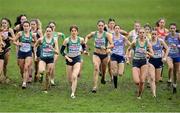 10 December 2023; Ireland athletes competing in the U20 women's 5000m, from left, Maebh Richardson, Amy Greene, Kirsty Maher, Avril Millerick and Anna Gardiner during the SPAR European Cross Country Championships at Laeken Park in Brussels, Belgium. Photo by Sam Barnes/Sportsfile