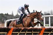 26 December 2023; Kala Conti, with Danny Gilligan up, jump the last on their way to winning the Mercedes Benz South Dublin Juvenile Hurdle on day one of the Leopardstown Christmas Festival at Leopardstown Racecourse in Dublin. Photo by David Fitzgerald/Sportsfile