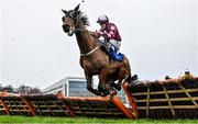 26 December 2023; Zeeband, with Danny Gilligan up, jump the last in the careers@dornangroup.com Novice Handicap Hurdle on day one of the Leopardstown Christmas Festival at Leopardstown Racecourse in Dublin. Photo by David Fitzgerald/Sportsfile