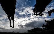 27 December 2023; Runners and riders jump the last during the Paddy Power From The Horses Mouth Beginners Steeplechase on day two of the Leopardstown Christmas Festival at Leopardstown Racecourse in Dublin. Photo by David Fitzgerald/Sportsfile