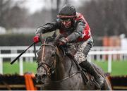 27 December 2023; Smooth Tom, with Keith Donoghue up, during the Paddy Power Future Champions Novice Hurdle on day two of the Leopardstown Christmas Festival at Leopardstown Racecourse in Dublin. Photo by David Fitzgerald/Sportsfile