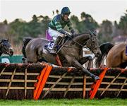 28 December 2023; Gaoth Chuil, with Shane O'Callaghan up, jumps the last, on their way to winning the Pertemps Handicap Hurdle on day three of the Leopardstown Christmas Festival at Leopardstown Racecourse in Dublin. Photo by Harry Murphy/Sportsfile