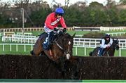 29 December 2023; Grangeclare West, with Paul Townend up, jumps the last, on their way to winning the Neville Hotels Novice Steeplechase on day four of the Leopardstown Christmas Festival at Leopardstown Racecourse in Dublin. Photo by Harry Murphy/Sportsfile