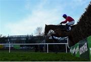 29 December 2023; Grangeclare West, with Paul Townend up, on their way to winning the Neville Hotels Novice Steeplechase on day four of the Leopardstown Christmas Festival at Leopardstown Racecourse in Dublin. Photo by Harry Murphy/Sportsfile