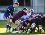 5 January 2024; Scrum halfs Oliver Coffey of Ireland and Fintan Gunne of Leinster during the Challenge Match between Ireland U20s and Leinster Development at Energia Park in Dublin. Photo by Harry Murphy/Sportsfile