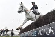 12 January 2024; One Of Us Is Lying, with Jack Gilligan up, jumps the last during the BetVictor Irish EBF Novice Steeplechase at Naas Racecourse in Kildare. Photo by Seb Daly/Sportsfile