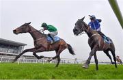 12 January 2024; Readin Tommy Wrong, left, with Daryl Jacob up, on their way to winning the Lawlor's Of Naas Novice Hurdle, from second place Ile Atlantique, right, with Paul Townend up, at Naas Racecourse in Kildare. Photo by Seb Daly/Sportsfile
