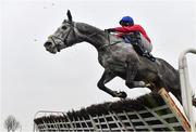 12 January 2024; Tullyhill, with Paul Townend up, jumps the last on their way to winning the Matt Britton Irish EBF Maiden Hurdle at Naas Racecourse in Kildare. Photo by Seb Daly/Sportsfile