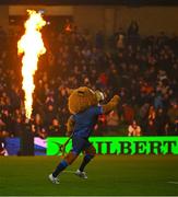 13 January 2024; Leinster mascot Leo the Lion during the Investec Champions Cup Pool 4 Round 3 match between Leinster and Stade Francais at the Aviva Stadium in Dublin. Photo by Sam Barnes/Sportsfile