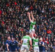 20 January 2024; Supporters watch a lineout during the Investec Champions Cup Pool 4 Round 4 match between Leicester Tigers and Leinster at Mattioli Woods Welford Road in Leicester, England. Photo by Harry Murphy/Sportsfile