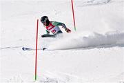 22 January 2024; Finlay Wilson of Team Ireland competes in the mens Alpine Combined Slalom event during day three of the Winter Youth Olympic Games 2024 at Gangwon in South Korea. Photo by Eóin Noonan/Sportsfile