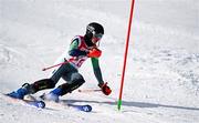 22 January 2024; Finlay Wilson of Team Ireland competes in the mens Alpine Combined Slalom event during day three of the Winter Youth Olympic Games 2024 at Gangwon in South Korea. Photo by Eóin Noonan/Sportsfile