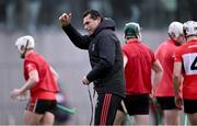 24 January 2024; UCC coach Seán Óg Ó hAilpín before the Electric Ireland Higher Education GAA Fitzgibbon Cup Round 2 match between Mary Immaculate College Limerick and UCC at MICL Grounds in Limerick. Photo by Piaras Ó Mídheach/Sportsfile