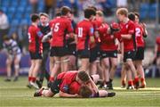 25 January 2024; Peter Smyth, top, and Christian Shortall of CUS celebrate after the Bank of Ireland Leinster Rugby Schools Father Godfrey Cup semi-final match between Good Counsel, New Ross and CUS at Energia Park in Dublin. Photo by Ben McShane/Sportsfile