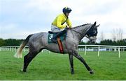 25 January 2024; Espanito Bello and jockey Michael O'Sullivan go to post before the Goffs Thyestes Handicap Steeplechase at Gowran Park in Kilkenny. Photo by Seb Daly/Sportsfile