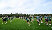 29 January 2024; A general view of Ireland Rugby squad training session at The Campus in Quinta da Lago, Portugal. Photo by Brendan Moran/Sportsfile