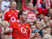 8 September 2013; A Cork supporter during the GAA Hurling All-Ireland Championship Finals, Croke Park, Dublin. Picture credit: Brian Lawless / SPORTSFILE