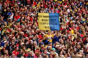 8 September 2013; A Clare fan during the GAA Hurling All-Ireland Championship Finals, Croke Park, Dublin. Photo by Sportsfile