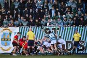 30 January 2024; St Gerard's School supporters encourage their side in a scrum during the Bank of Ireland Leinster Schools Senior Cup first round match between CBC Monkstown and St Gerard's School at Energia Park in Dublin. Photo by Ben McShane/Sportsfile