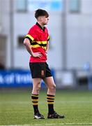 30 January 2024; Milo Quinn of CBC Monkstown during the Bank of Ireland Leinster Schools Senior Cup first round match between CBC Monkstown and St Gerard's School at Energia Park in Dublin. Photo by Ben McShane/Sportsfile