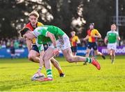 1 February 2024; Noah Byrne of Gonzaga College scores his side's fifth try during the Bank of Ireland Leinster Schools Senior Cup First Round match between Gonzaga College and St Fintan's High School at Terenure College RFC in Dublin. Photo by Piaras Ó Mídheach/Sportsfile