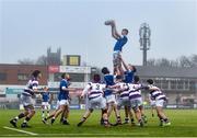 8 February 2024; Eoin Farrell of St Mary’s College during the Bank of Ireland Leinster Schools Junior Cup Round 1 match between St Mary's College and Clongowes Wood College at Energia Park in Dublin. Photo by Daire Brennan/Sportsfile