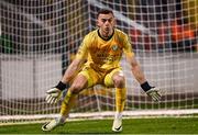 9 February 2024; Shamrock Rovers goalkeeper Leon Pohls during the 2024 Men's President's Cup match between Shamrock Rovers and St Patrick's Athletic at Tallaght Stadium in Dublin. Photo by Stephen McCarthy/Sportsfile