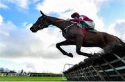 11 February 2024; Brighterdaysahead, with Jack Kennedy up, jumps the last on their way to winning the Apple's Jade Mares Novice Hurdle at Navan Racecourse in Meath. Photo by Seb Daly/Sportsfile