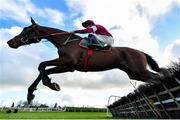 11 February 2024; Brighterdaysahead, with Jack Kennedy up, jumps the last on their way to winning the Apple's Jade Mares Novice Hurdle at Navan Racecourse in Meath. Photo by Seb Daly/Sportsfile