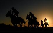 11 February 2024; Runners and riders during the William Hill Pro/Am Flat Race at Navan Racecourse in Meath. Photo by Seb Daly/Sportsfile