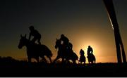 11 February 2024; Runners and riders during the William Hill Pro/Am Flat Race at Navan Racecourse in Meath. Photo by Seb Daly/Sportsfile