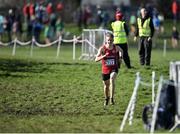 11 February 2024; David Wajrak of Portlaoise AC, Laois, on his way to winning the Boys U15 2500m during the 123.ie National Intermediate, Masters & Juvenile B Cross Country Championships at DKiT Campus in Dundalk, Louth. Photo by Stephen Marken/Sportsfile