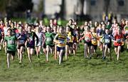 11 February 2024; Ellen Maher of Dundrum AC, Tipperary, centre, competes in the Girls U11 1000m during the 123.ie National Intermediate, Masters & Juvenile B Cross Country Championships at DKiT Campus in Dundalk, Louth. Photo by Stephen Marken/Sportsfile