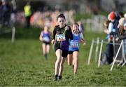 11 February 2024; Katie Dardis of Navan AC, Meath, on her way to winning the Girls U11 1000m during the 123.ie National Intermediate, Masters & Juvenile B Cross Country Championships at DKiT Campus in Dundalk, Louth. Photo by Stephen Marken/Sportsfile