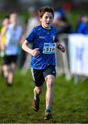 11 February 2024; Alex Glogowski of Glenmore AC, Louth, competes in the Boys U13 1500m during the 123.ie National Intermediate, Masters & Juvenile B Cross Country Championships at DKiT Campus in Dundalk, Louth. Photo by Stephen Marken/Sportsfile