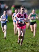 11 February 2024; Isabel Tynan Daly of Mullingar Harriers AC, Mullingar, competes in the Girls U15 2500m during the 123.ie National Intermediate, Masters & Juvenile B Cross Country Championships at DKiT Campus in Dundalk, Louth. Photo by Stephen Marken/Sportsfile