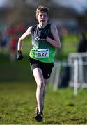 11 February 2024; Rhys Clarke of Ace Athletics Club, Louth, competes in the Boys U17 3000m during the 123.ie National Intermediate, Masters & Juvenile B Cross Country Championships at DKiT Campus in Dundalk, Louth. Photo by Stephen Marken/Sportsfile