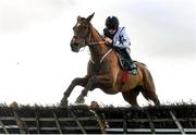 11 February 2024; Mel Monroe, with Sam Ewing up, during the Apple's Jade Mares Novice Hurdle at Navan Racecourse in Meath. Photo by Seb Daly/Sportsfile